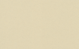 [C1583]Crescent Olde Tan 32x40