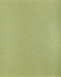 [B4303]Bainbridge Aragon 32