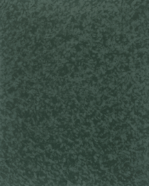 [B4147]Bainbridge Spruce 32