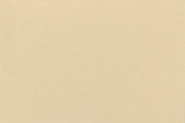[C81104]Crescent Antique Tan 40x60
