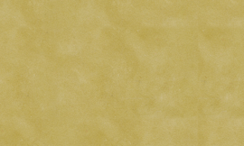 [B5515]Crescent Thicket 32x40