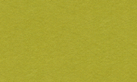 [C9521]Crescent Gold Rush 32x40