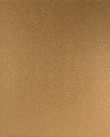 [B8004]Bainbridge Warm Gold 32