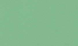 [CSRM978]Crescent Congo Green 32x40