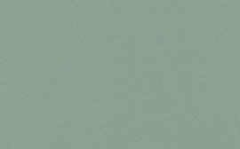 [C978]Crescent Congo Green 32x40