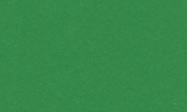 [CSRM919]Crescent Ivy Green 32x40