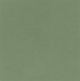 [A4876]Artique Agave 32