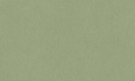 [C91545]Crescent Light Umbria 32x40