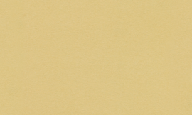 [C1105]Crescent Desert Sand 32x40
