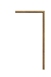 [150CG]Fillets and Liners Fillet Gold 1/4