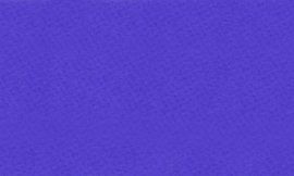 [C9879]Crescent Purple Iris 32x40