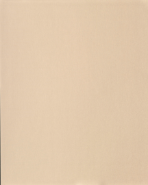 [B4097]Bainbridge Camel 32