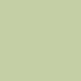[B8426]Bainbridge Parakeet 32