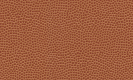 [B69746]Crescent Basketball 32x40