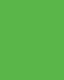 [B8037]Bainbridge Lime 32