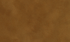 [C87106]Crescent Antelope 40x60