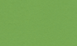 [CSRM1001]Crescent Moss Point Green 32x40