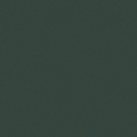 [A4822]Artique Evergreen 32