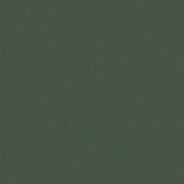 [A4835]Artique Cypress 32