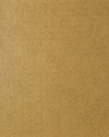 [B4702]Bainbridge Gold Coin 32