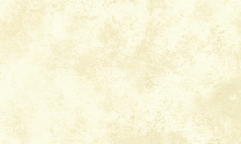 [B9735]Crescent Denali 32x40