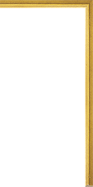[106180]Hudson Fillet Gold 1/2