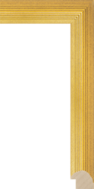 [306180]Hudson Gold 1 1/2