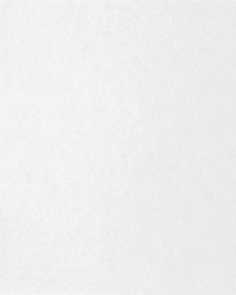 [B4700]Bainbridge White Armor 32