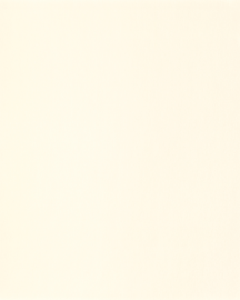 [B4091]Bainbridge Meringue 32