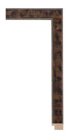 Whitman Tortoise 1 3/16