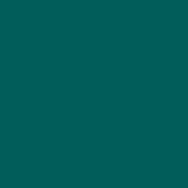 [B8572]Bainbridge Blue Spruce 32