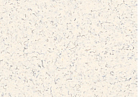 [B879]Bainbridge Sand 32