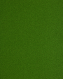 [B4310]Bainbridge Astroturf 32