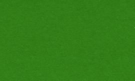 [C9917]Crescent Forest Green 32x40
