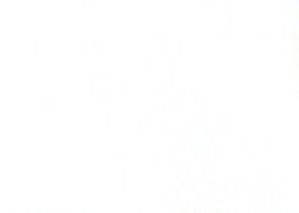 [B346L]Bainbridge Brilliant White 40