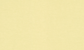 [C89813]Crescent Sandstone 40x60