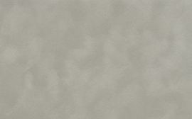 [C87141]Crescent Platinum 40x60