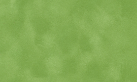 [C87134]Crescent Asparagus 40x60