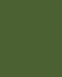 [B12011]Bainbridge Kale 32