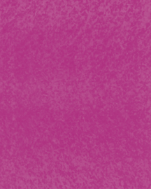 [B4228]Bainbridge Raspberry Fizz 32