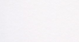 [B12022L]Bainbridge Daisy 40