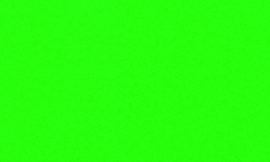 [C993]Crescent Kelly Green 32x40