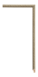 [102CS]Marquis Silver 1/2
