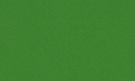 [CSRM939]Crescent Dark Green 32x40