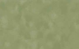 [C7134]Crescent Asparagus 32x40