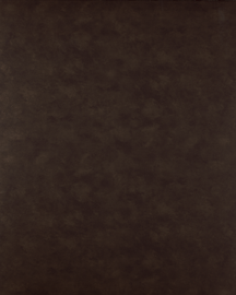 [B998741]Bainbridge Old Bronze 32