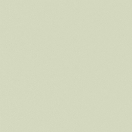 [A4974]Artique Mist 32