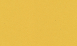 [CSRM994]Crescent Chamois Gold 32x40