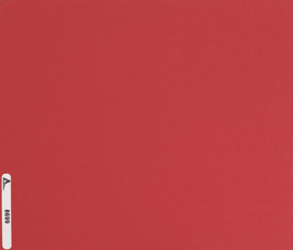 [AQ5699]Arqadia Football Red 32