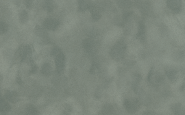[C7109]Crescent Taupe 32x40